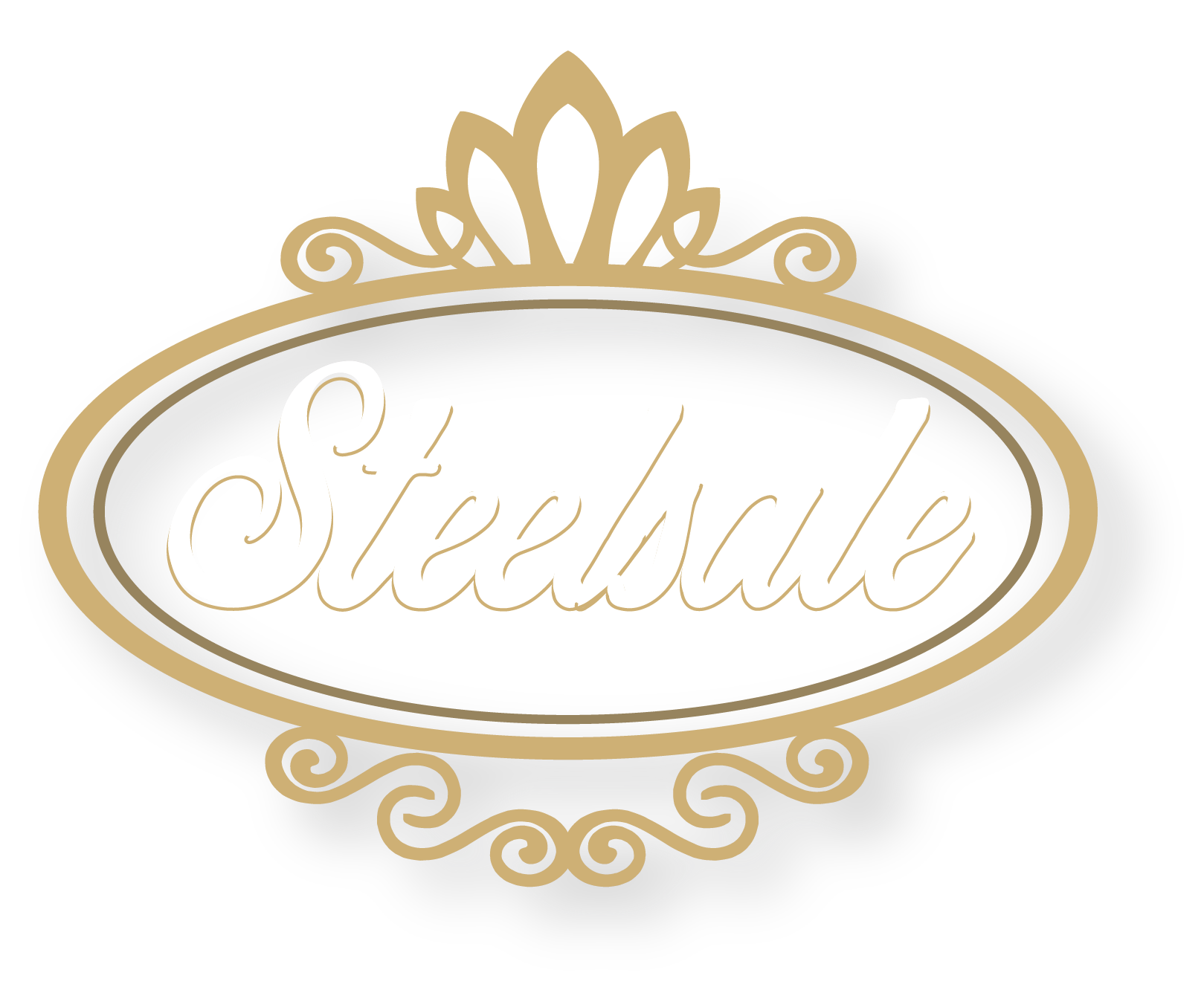 STEELSALE Logo